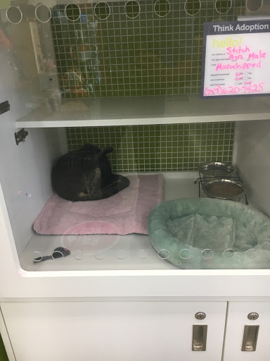 Pet Supply Store «PetSmart», reviews and photos, 6243 College Dr, Suffolk, VA 23435, USA