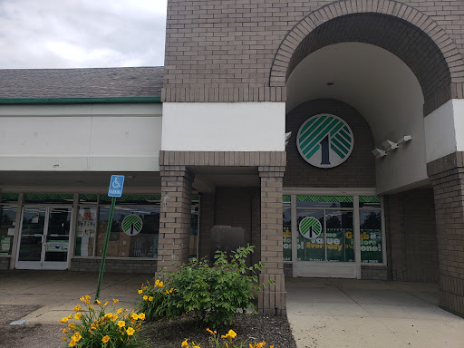 Dollar Store «Dollar Tree», reviews and photos, 266 N Telegraph Rd, Pontiac, MI 48341, USA