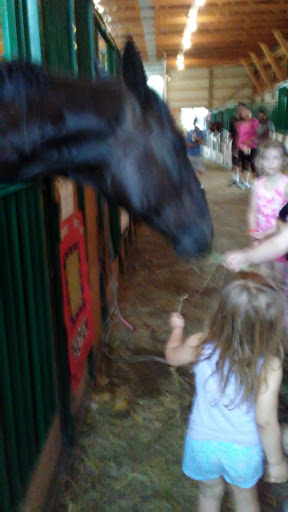 Museum «Marshall County Historical», reviews and photos, 808 E Johnson Ave, Warren, MN 56762, USA