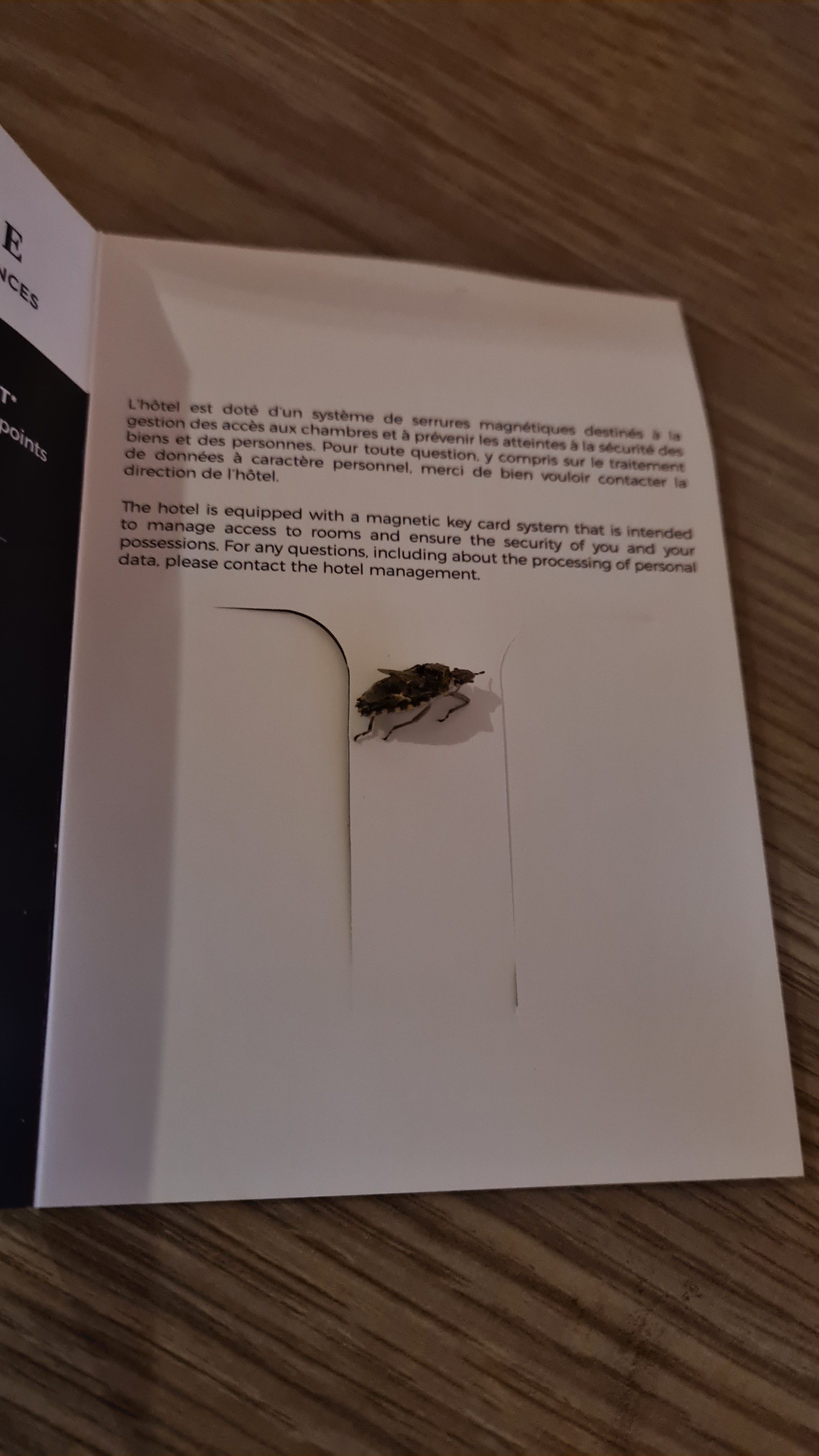 Photo n° 1 de l'avis de Olivier.e fait le 20/11/2023 à 16:25