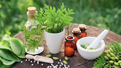 Peau-line Naturopathe-Reflexologie-Drainage lymphatique-Massage à Le Pré-Saint-Gervais