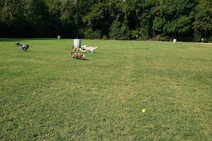 Jack Carter Dog Park