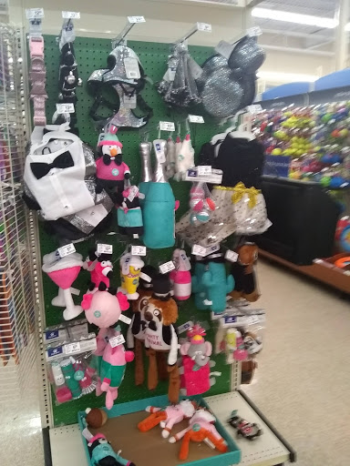 Shopping Mall «Fresh Pond Mall», reviews and photos, 545 Concord Ave #21, Cambridge, MA 02138, USA