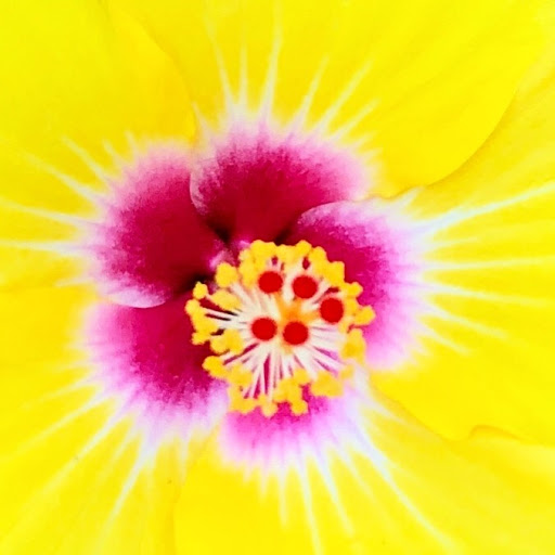 Museum «Union Pacific Railroad Museum», reviews and photos, 200 Pearl St, Council Bluffs, IA 51503, USA