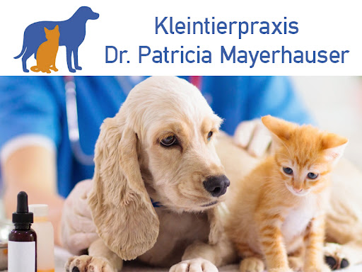 Dr. P. Mayerhauser, Kleintierpraxis im Gewerbehof Unterfeldweg unter Augsburg, Bayern