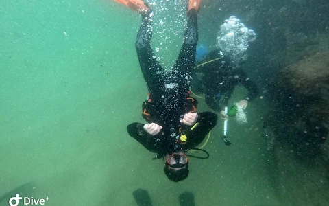 Garden Route Scuba image