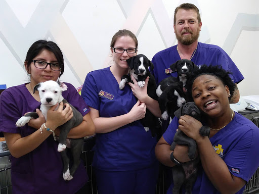 Gulf Coast Humane Society Veterinary Clinic image