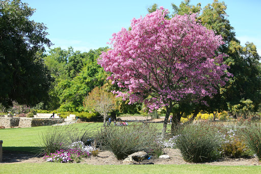 Arboretum Inglewood