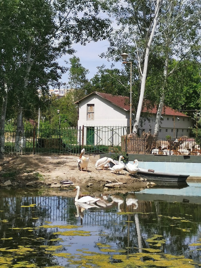 Călărași, Romanya