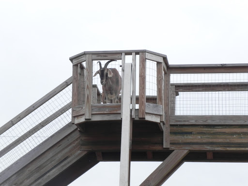 Orchard «Barton Orchards - Noxon Road Store Open Year Round - The Farm is CLOSED for the Season.», reviews and photos, 63 Apple Tree Ln, Poughquag, NY 12570, USA