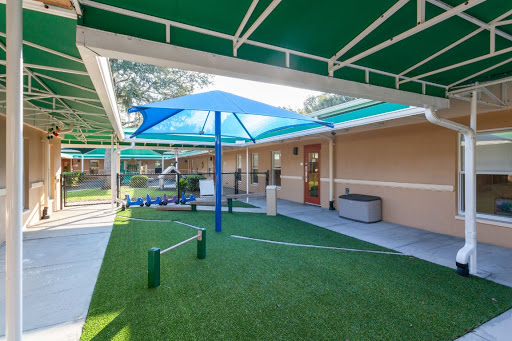 Preschool «Bright Horizons at Tampa Palms», reviews and photos, 5171 Cypress Preserve Dr, Tampa, FL 33647, USA