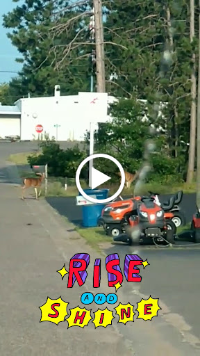 Appliance Store «Sears Hometown Store», reviews and photos, 316 Service Rd, Spooner, WI 54801, USA