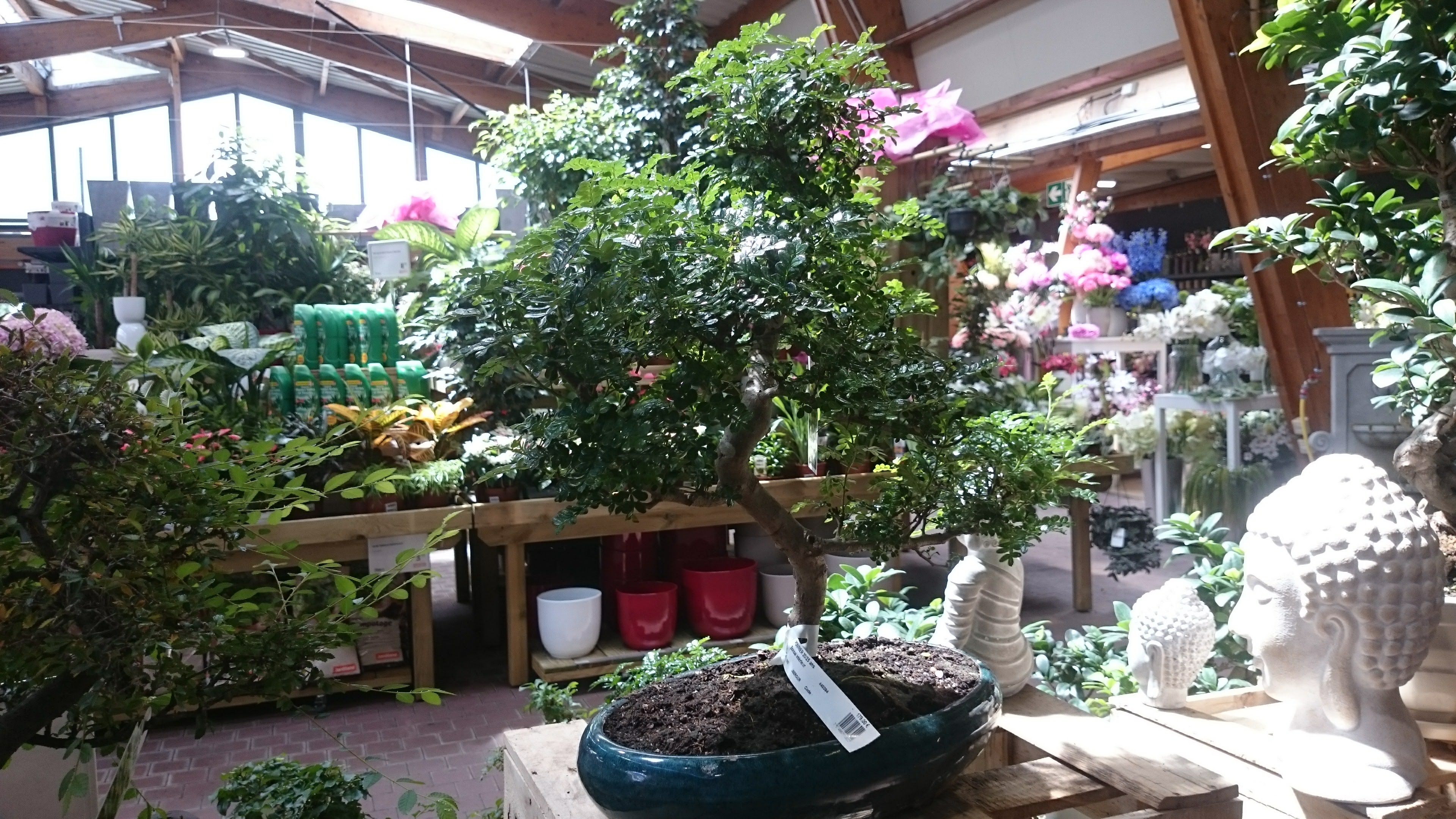 Photo n° 1 de l'avis de Tao. fait le 07/06/2017 à 10:41