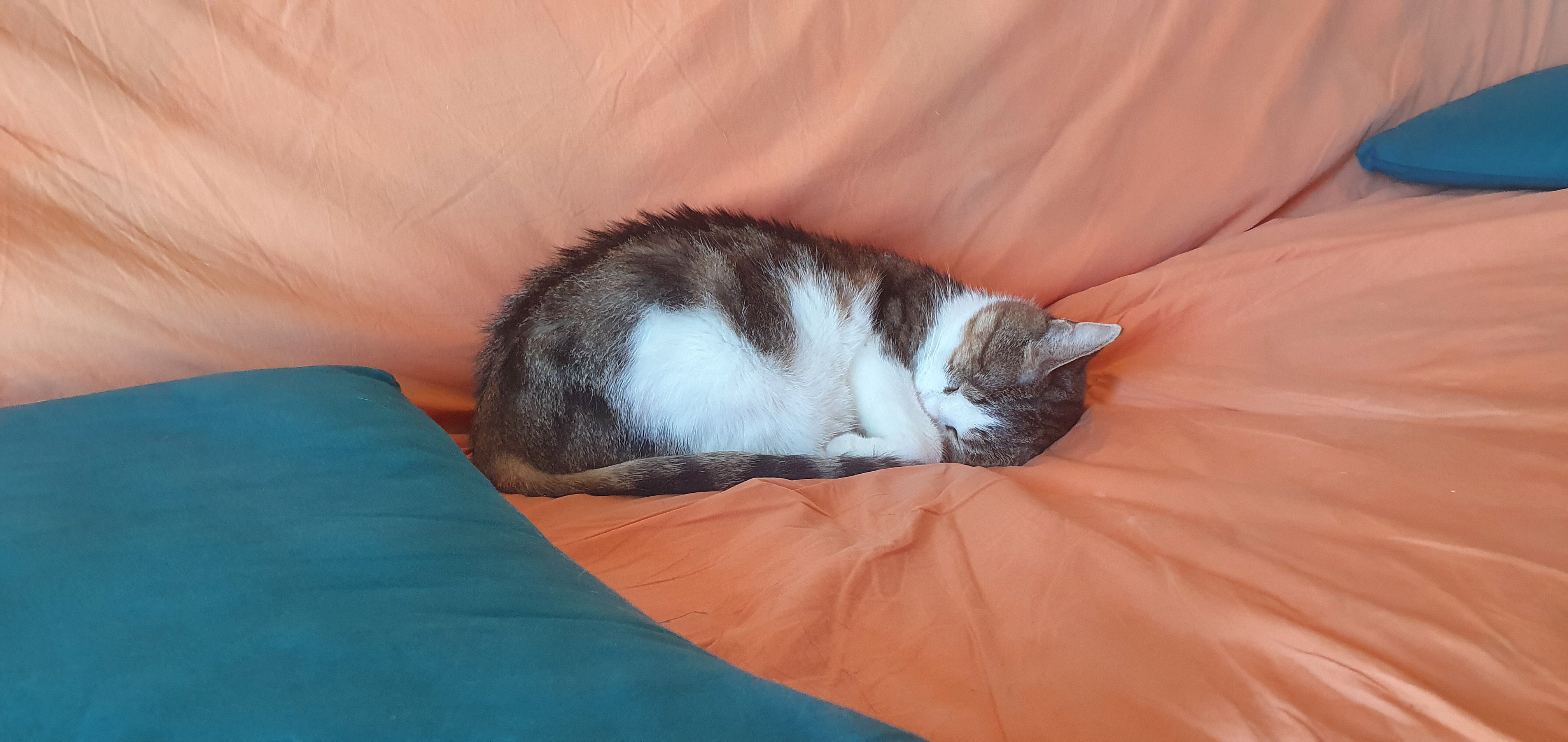 Photo n° 1 de l'avis de Nina.a fait le 21/08/2022 à 15:46