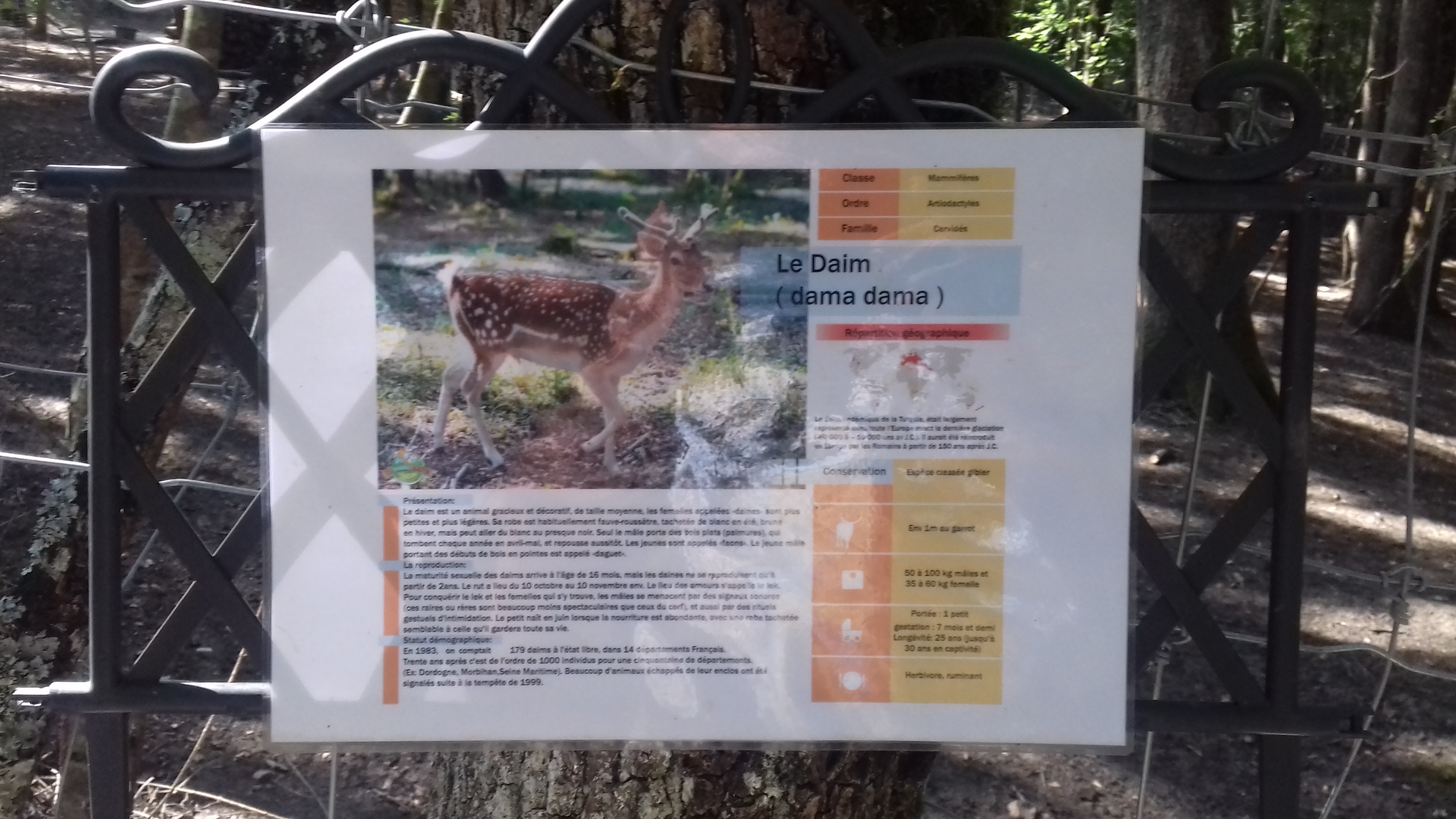 Photo n° 34 de l'avis de Laurent.o fait le 20/08/2018 à 10:25