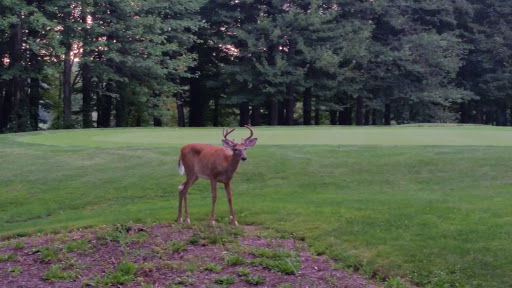 Golf Club «Brookledge Golf Club», reviews and photos, 1621 Bailey Rd, Cuyahoga Falls, OH 44221, USA