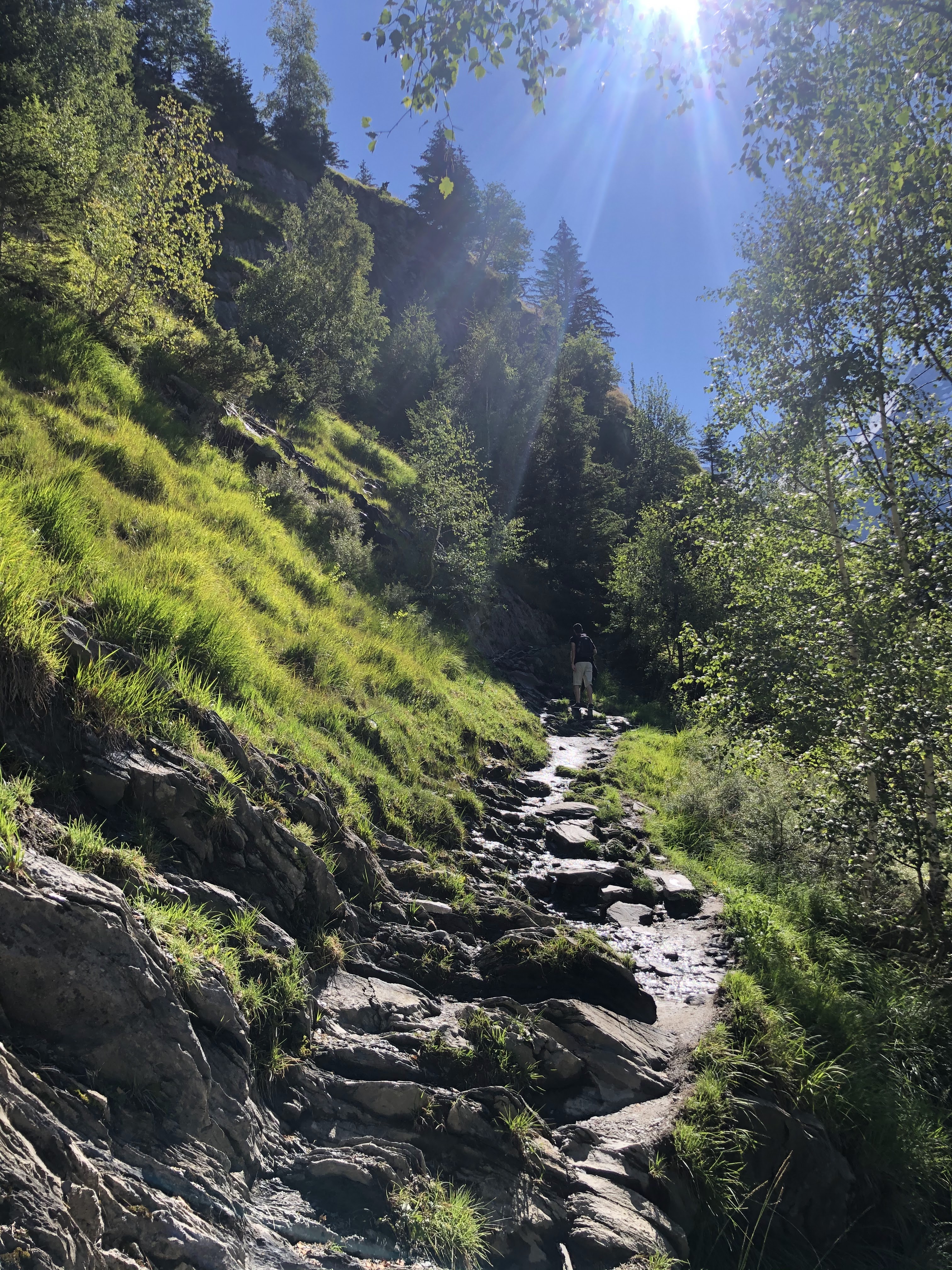 Photo n° 5 de l'avis de Marion.e fait le 19/08/2020 à 11:33
