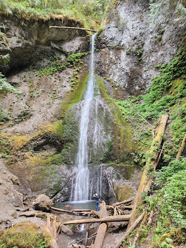 National Park «Olympic National Park», reviews and photos