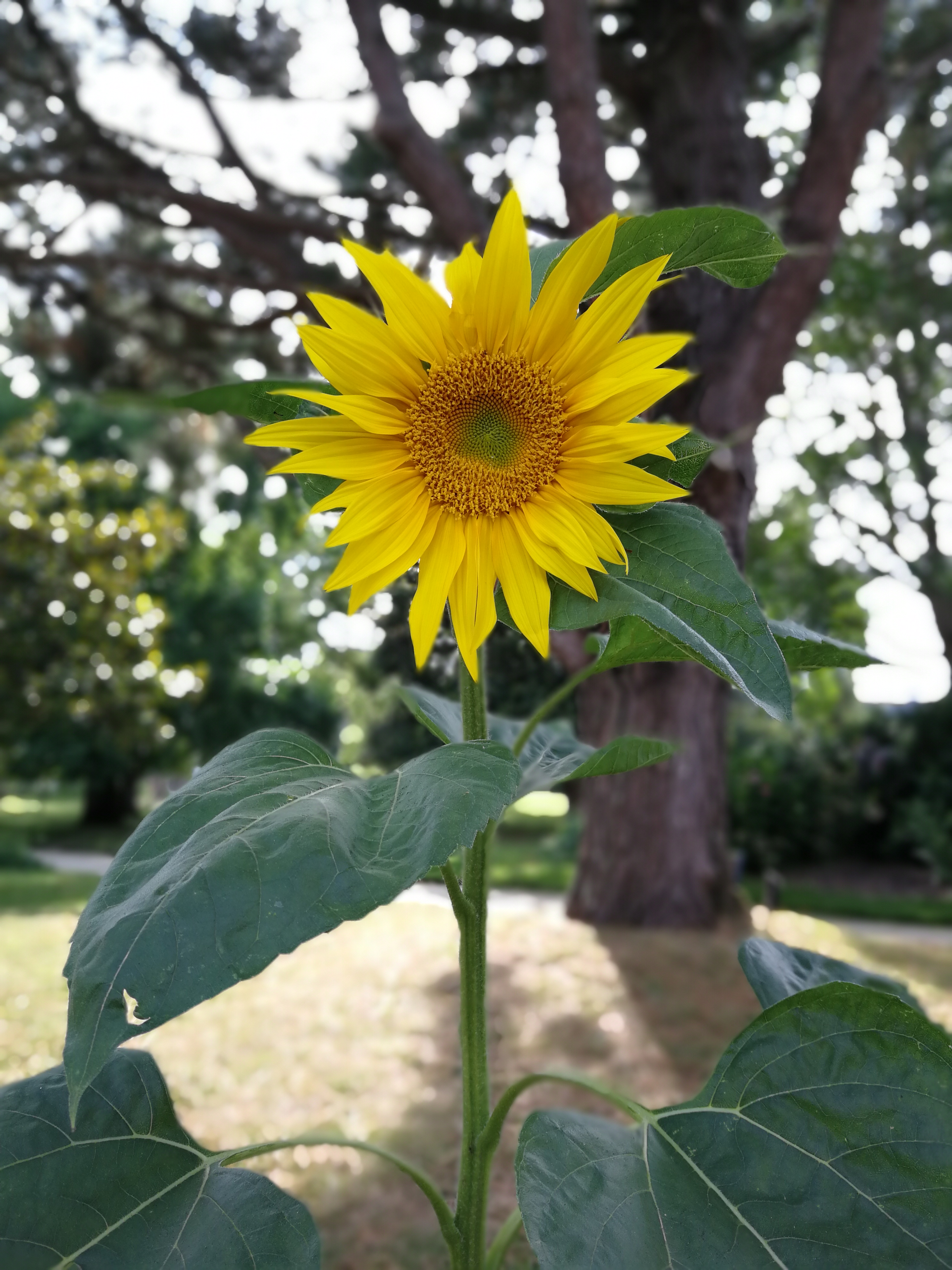 Photo n° 2 de l'avis de Amélie.R fait le 16/08/2019 à 23:45
