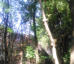 Aviario Moctezuma photo