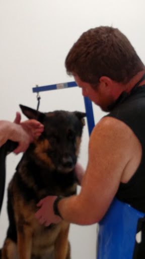 Pet Supply Store «Healthy Pet Center», reviews and photos, 775 New Loudon Rd, Latham, NY 12110, USA