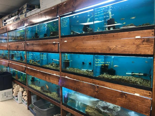 Pet Supply Store «Sunflower Natural Pet Supplies», reviews and photos, 514 Pillsbury Dr, Manhattan, KS 66502, USA