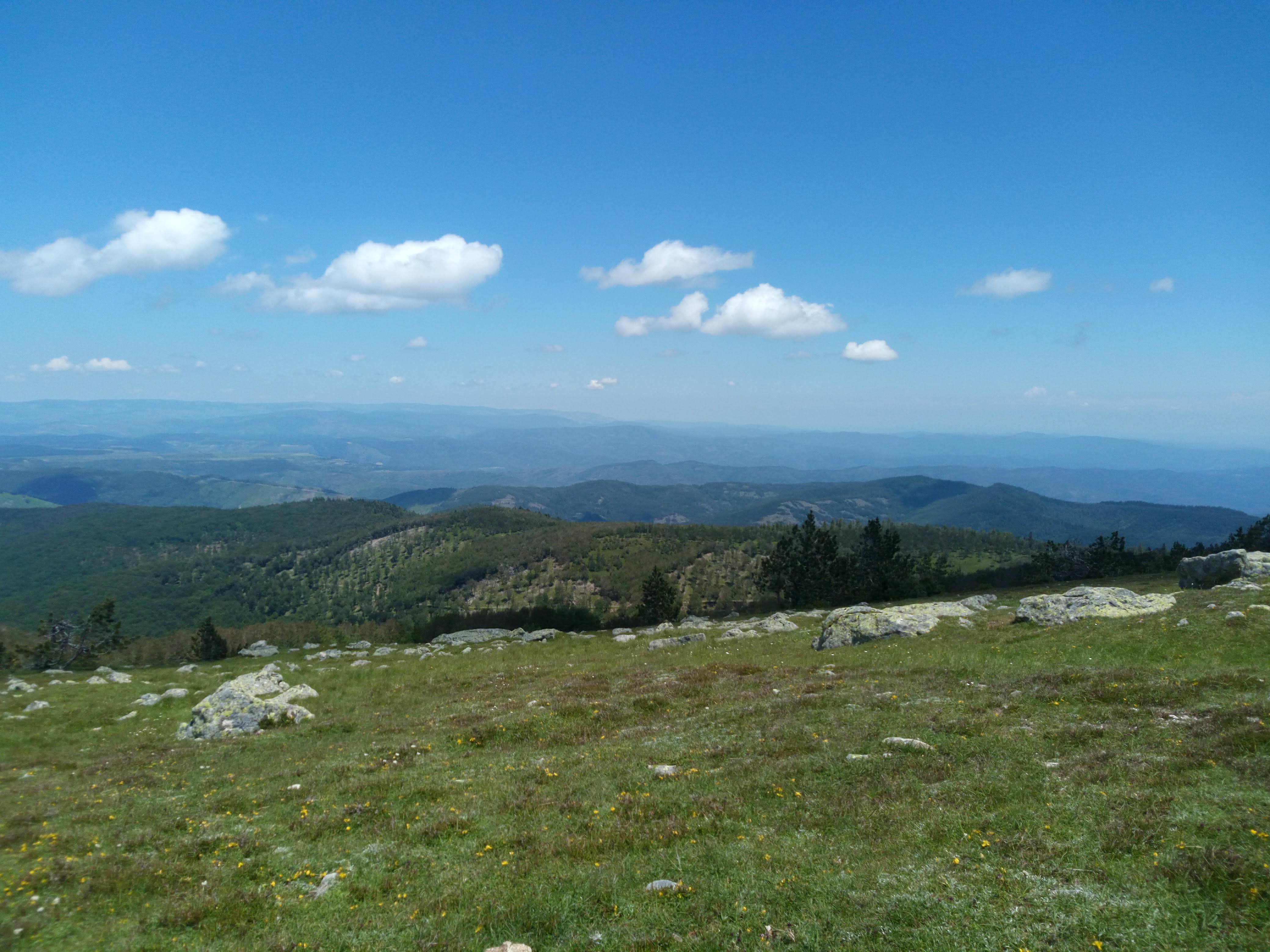 Photo n° 1 de l'avis de céline.e fait le 07/07/2018 à 13:33