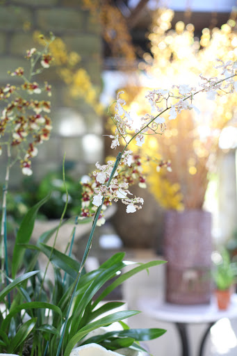 Garden «fleurdetroit (bloomfield hills)», reviews and photos, 1507 S Telegraph Rd, Bloomfield Hills, MI 48302, USA