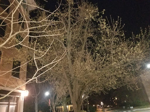 Clothing Store «J.Crew», reviews and photos, 1 Palmer Square, Princeton, NJ 08542, USA