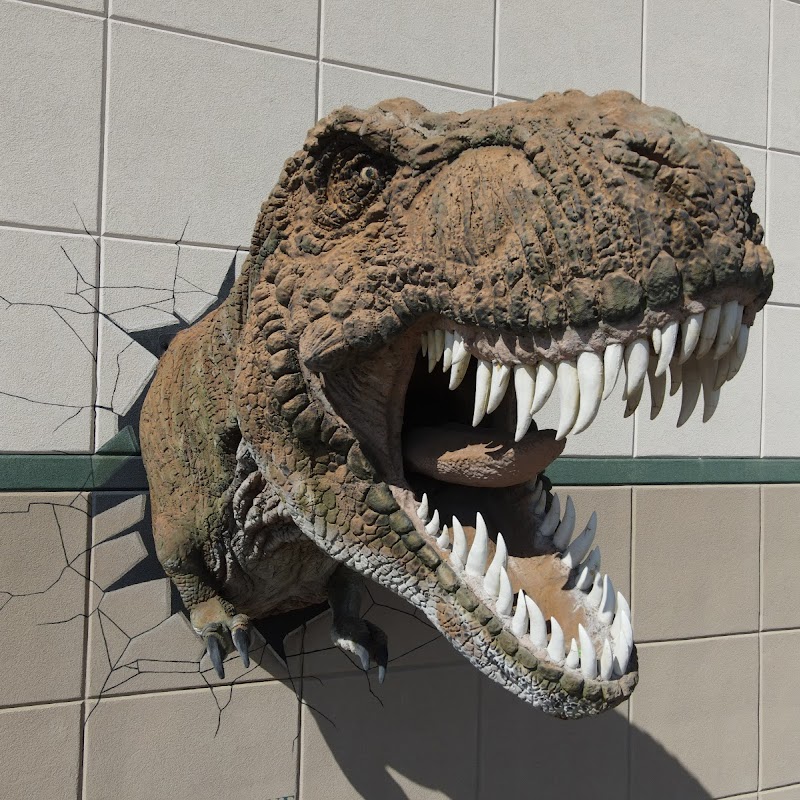 Glendive Dinosaur and Fossil Museum