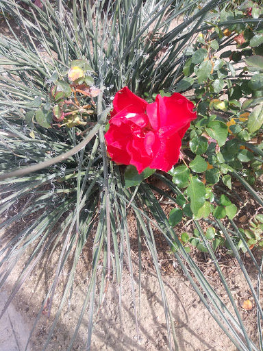 Family Restaurant «Kountry Folks Homestyle Restaurant», reviews and photos, 3653 La Sierra Ave, Riverside, CA 92505, USA