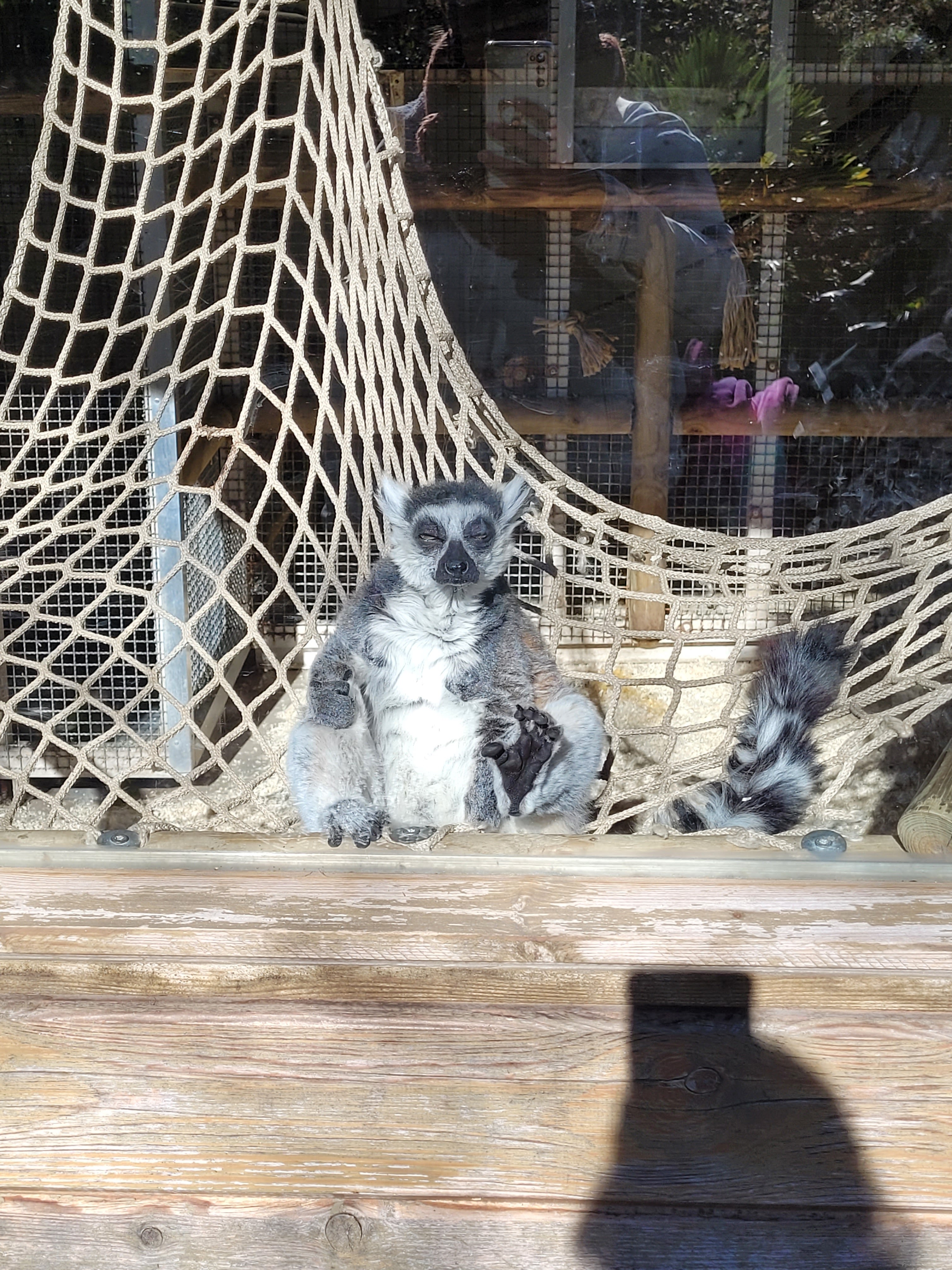 Photo n° 1 de l'avis de Jean.h fait le 28/02/2023 à 21:15