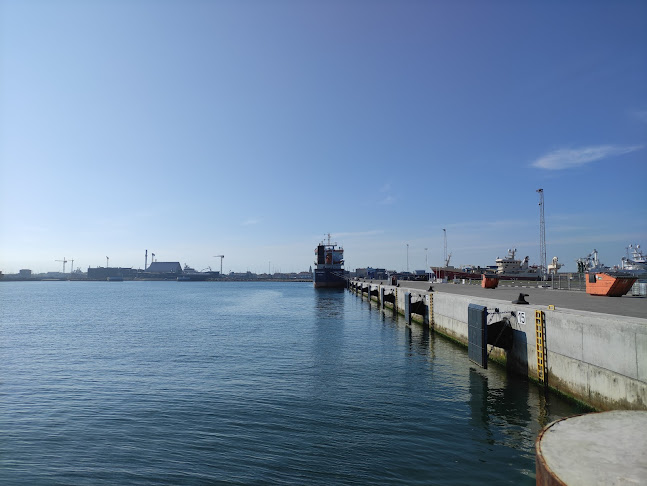 Skagens Havn Ostmole - Museum