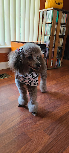 It's Allgood Grooming