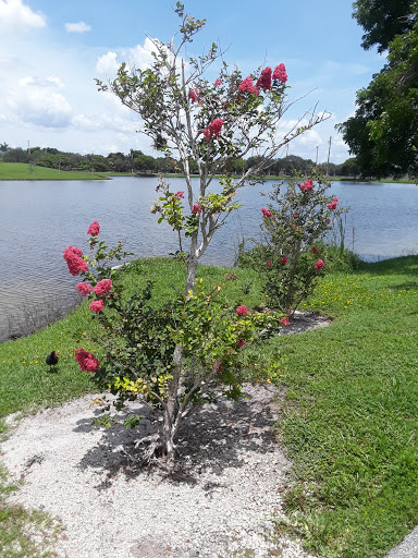 Park «Plantation Central Park», reviews and photos, 9151 NW 2nd St, Plantation, FL 33324, USA