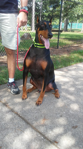 Park «Medal of Honor Park», reviews and photos, 1711 Hillcrest Rd, Mobile, AL 36609, USA