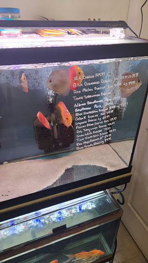 Tropical Fish Store «Ocean Design Aquarium», reviews and photos, 7542 W Addison St, Chicago, IL 60634, USA
