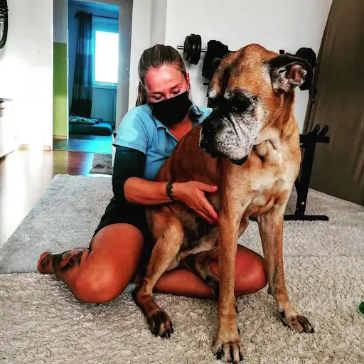 Pro Tiergesundheit- Tierphysiotherapie/-osteopathie, Tierheilpraktiker unter Rostock, 