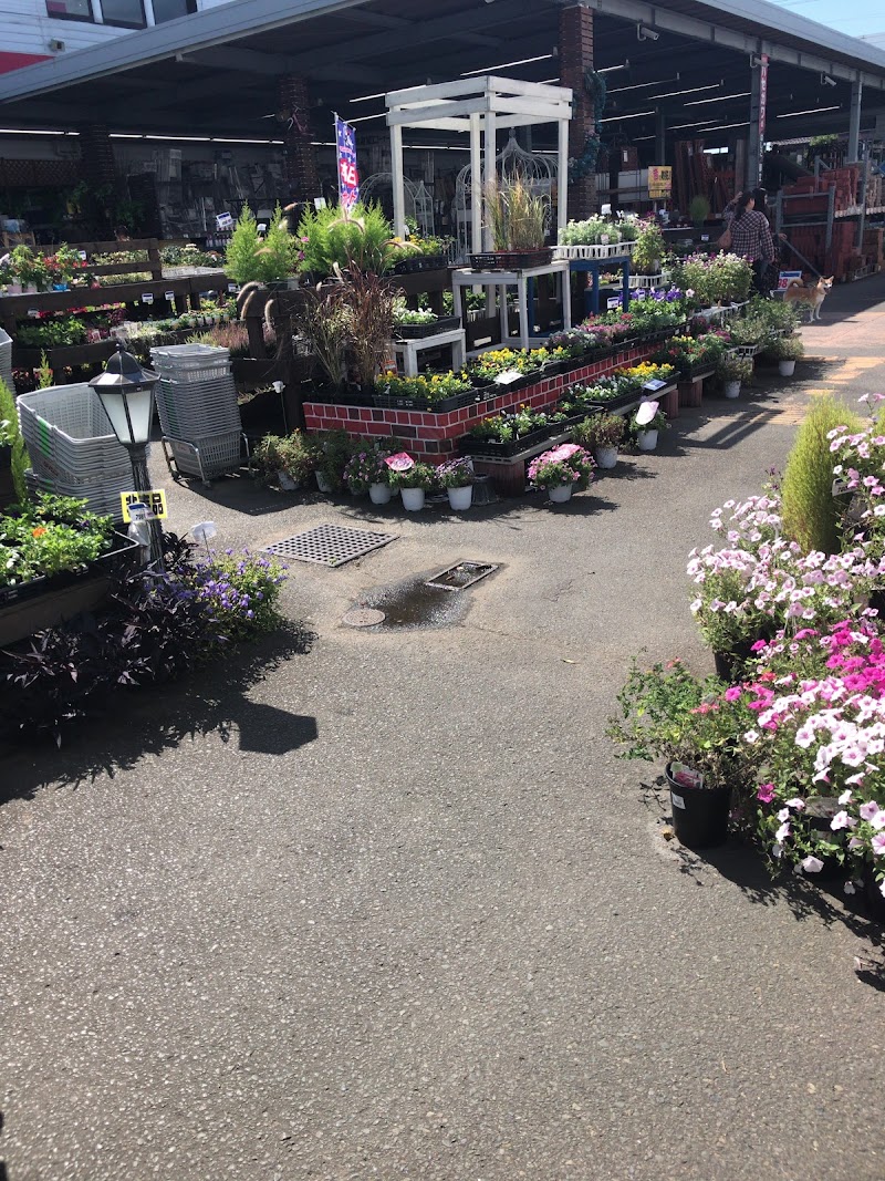 ダイシン幸町店 宮城県仙台市宮城野区大梶 ホームセンター ホームセンター グルコミ