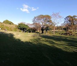 iMonti parkrun photo