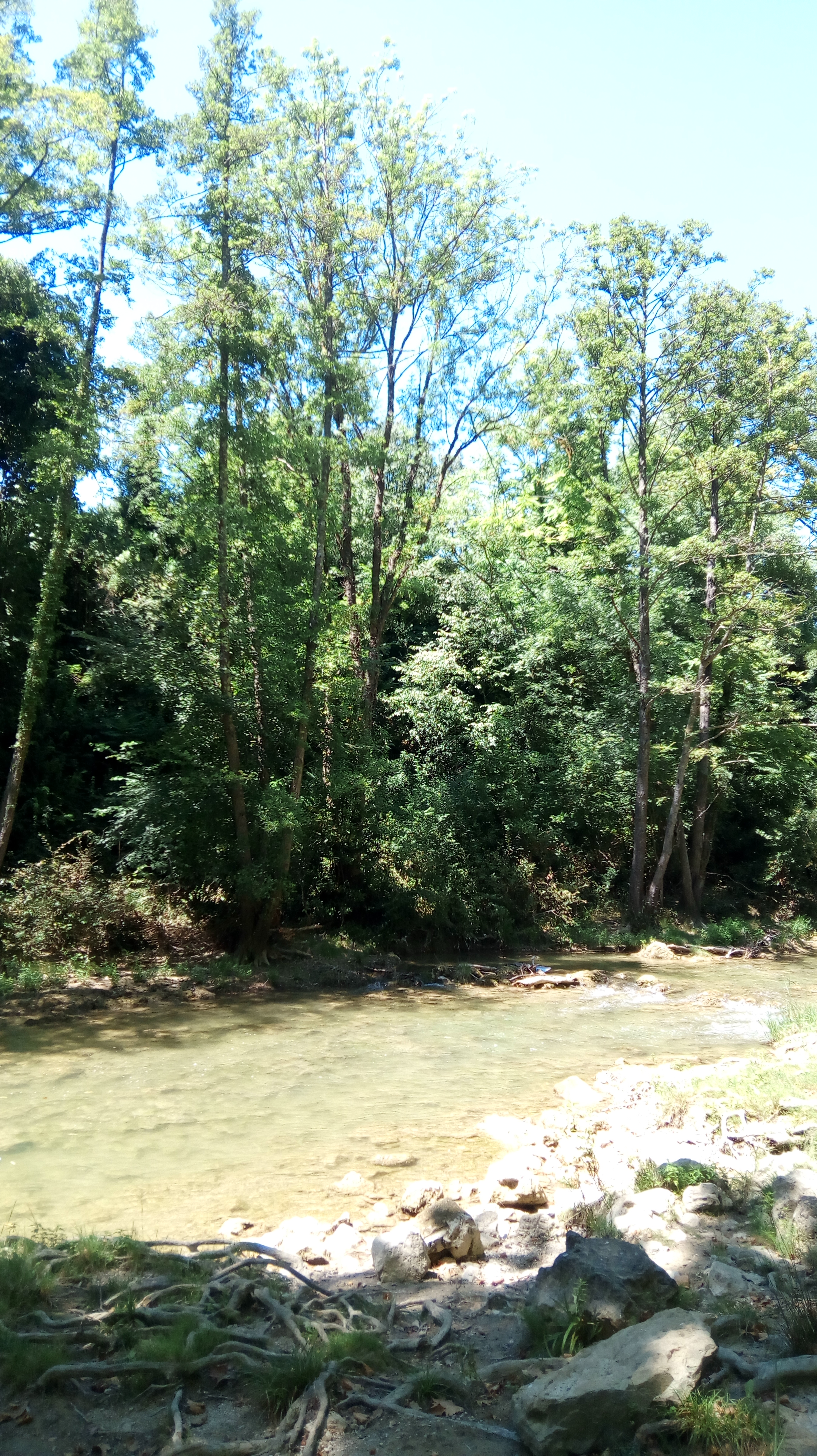 Photo n° 10 de l'avis de balades. fait le 11/07/2018 à 13:22