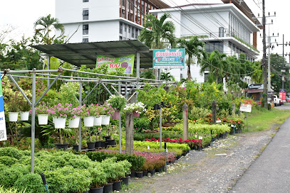 สวนน้องเอ็มเชิงทะเล Phuket Garden