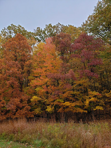 Park «Cleveland Metroparks», reviews and photos, 1969 W Ridgewood Dr, Cleveland, OH 44134, USA