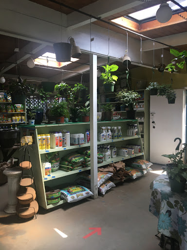 Plant Nursery «Bonita Nursery & Florists», reviews and photos, 3510 Santa Fe Ave, Long Beach, CA 90810, USA