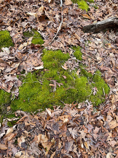 Park «Fairfax Villa Park», reviews and photos, 11399 Park Dr, Fairfax, VA 22030, USA