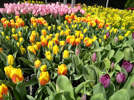 Home Improvement Store «The Home Depot», reviews and photos, 4095 US-1, Monmouth Junction, NJ 08852, USA