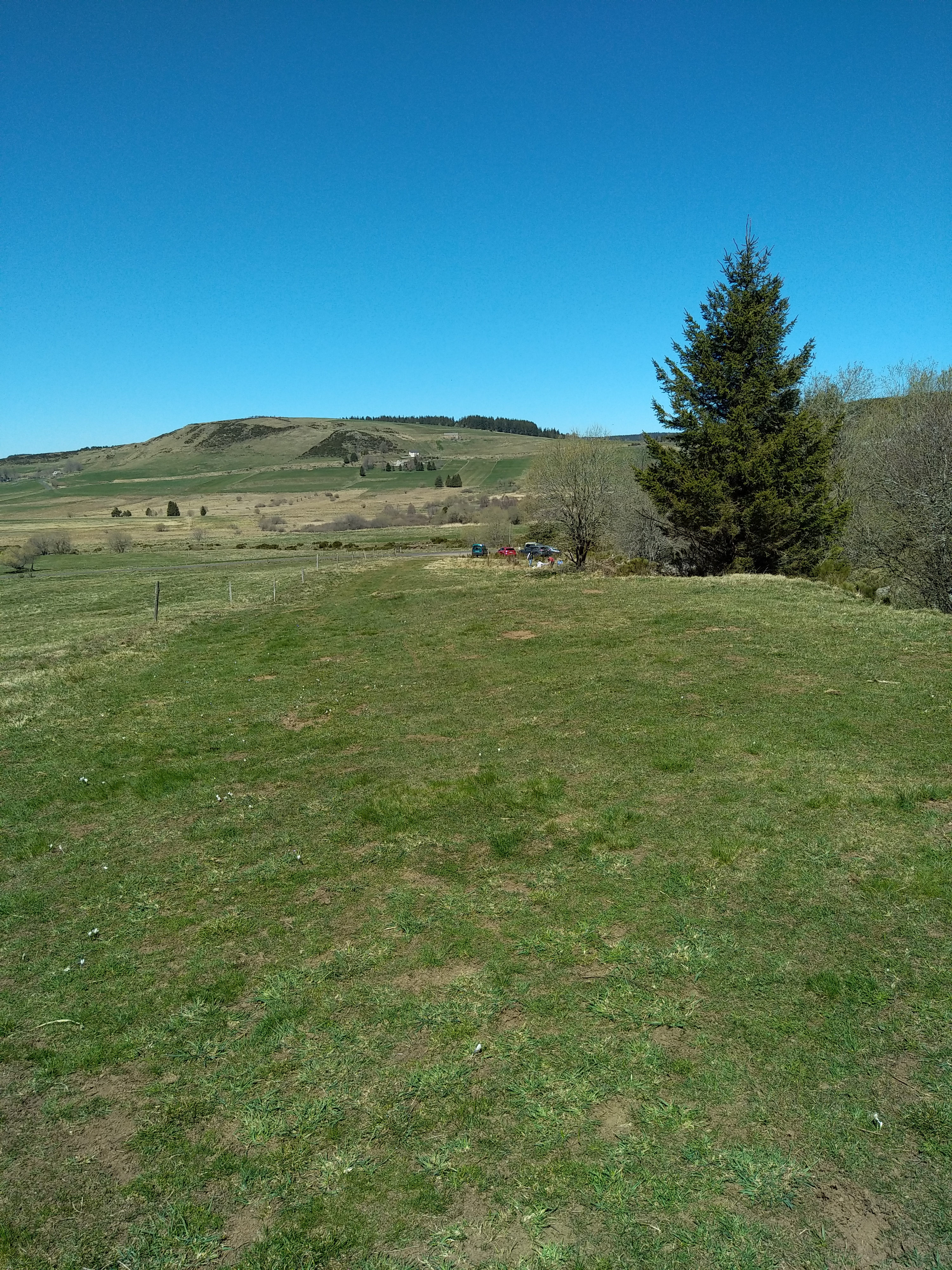 Photo n° 10 de l'avis de Julien.a fait le 17/04/2022 à 17:15