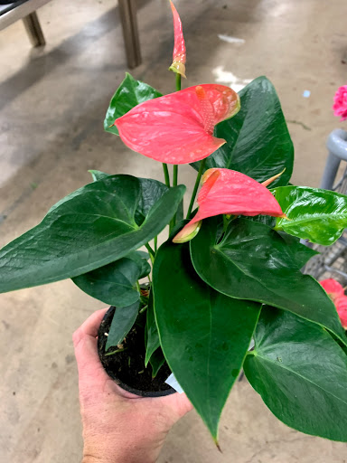 Thrift Store «Habitat for Humanity-MidOhio ReStore East», reviews and photos