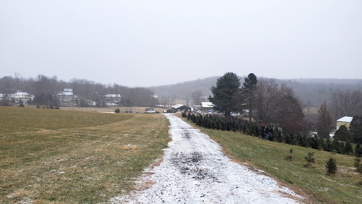 Herzig Family Tree Farm