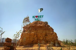 Ahmed Ali Park - Kidney Hill image